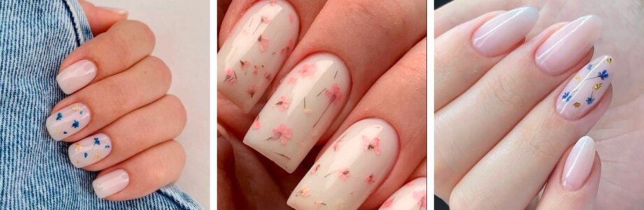 Dry flowers in milky manicure